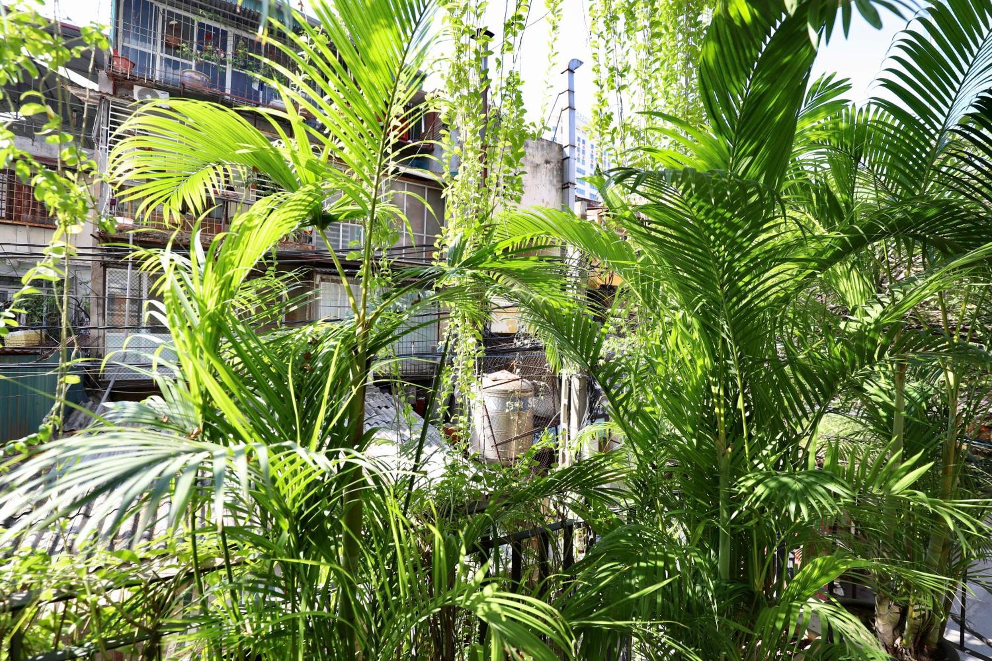 The Garden House Apartment Hanoi Luaran gambar